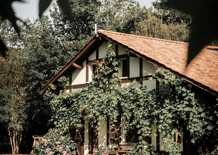 Bed & Breakfast Le Domaine De Petiosse