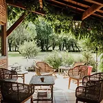 Bed & Breakfast Le Domaine De Petiosse Saint-Julien-en-Born