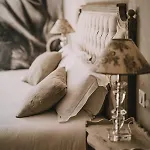 Le Domaine De Petiosse Bed & Breakfast *