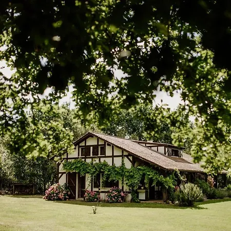 Le Domaine De Petiosse Bed and breakfast *