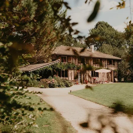 Bed & Breakfast Le Domaine De Petiosse Saint-Julien-en-Born