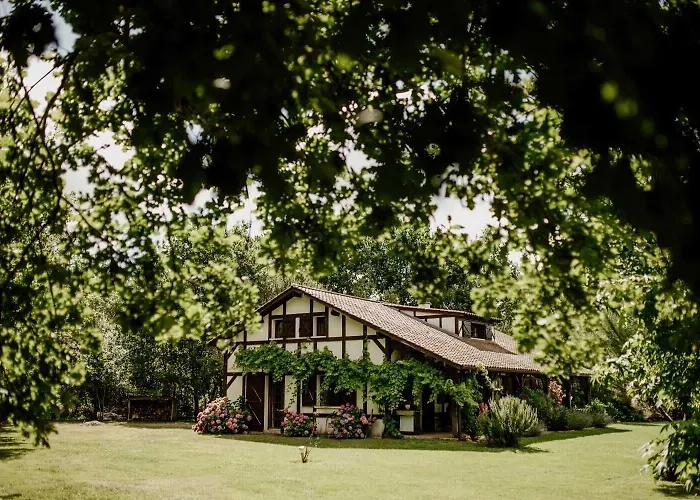 Le Domaine De Petiosse * Saint-Julien-en-Born